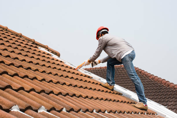 Best Cold Roofs  in Park City, MT