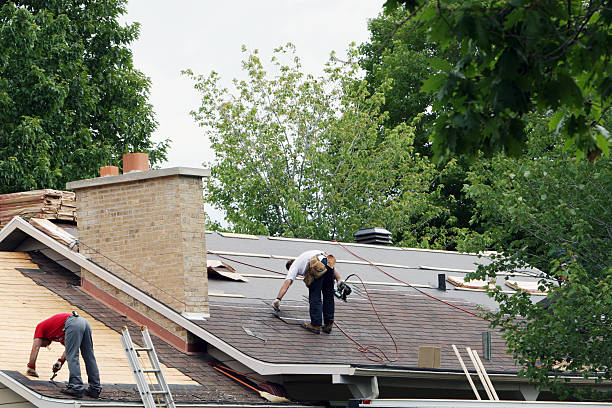 Roof Coating Services in Park City, MT