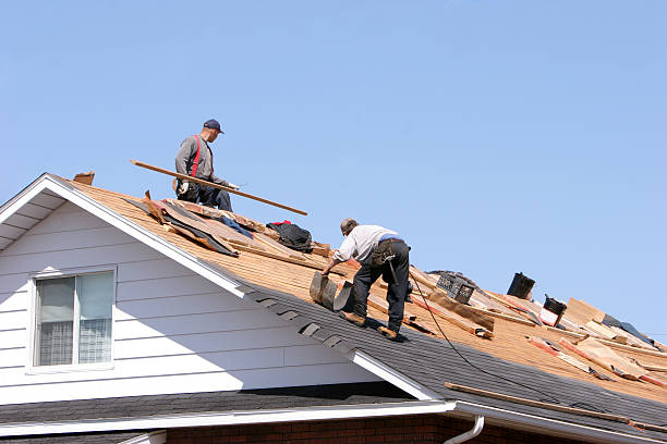 Best Solar Panel Roofing Installation  in Park City, MT