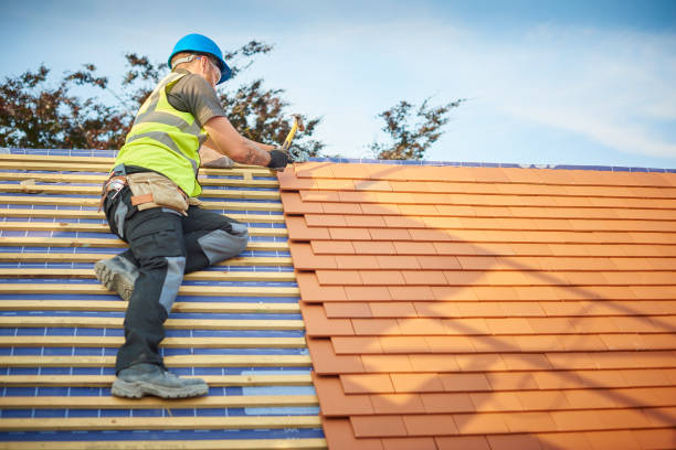 Best Roof Ventilation Installation  in Park City, MT