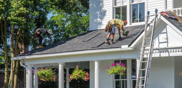 Best Storm Damage Roof Repair  in Park City, MT